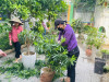 Các công tác chuẩn bị cho ngày tựu trường