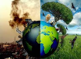biểu hiện của ô nhiễm môi trường